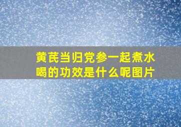 黄芪当归党参一起煮水喝的功效是什么呢图片