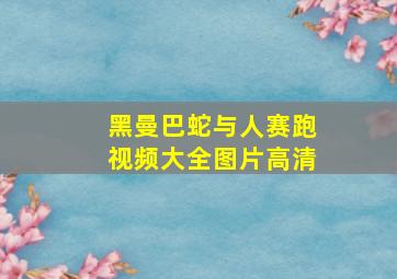 黑曼巴蛇与人赛跑视频大全图片高清