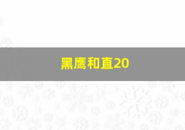 黑鹰和直20