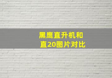 黑鹰直升机和直20图片对比