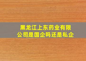 黑龙江上东药业有限公司是国企吗还是私企