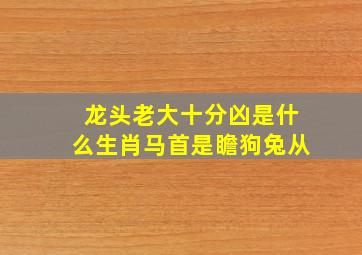 龙头老大十分凶是什么生肖马首是瞻狗兔从