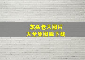 龙头老大图片大全集图库下载