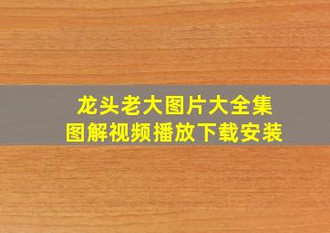 龙头老大图片大全集图解视频播放下载安装