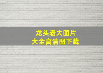 龙头老大图片大全高清图下载